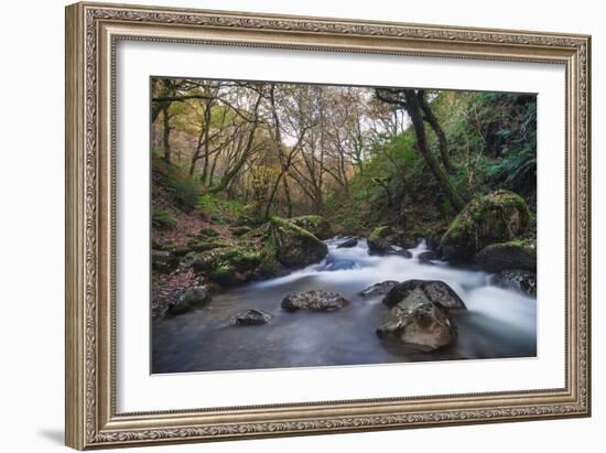 Stream Flowing Through Woodland in England-Clive Nolan-Framed Photographic Print