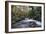 Stream Flowing Through Woodland in England-Clive Nolan-Framed Photographic Print