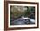 Stream Flowing Through Woodland in England-Clive Nolan-Framed Photographic Print