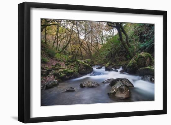 Stream Flowing Through Woodland in England-Clive Nolan-Framed Photographic Print