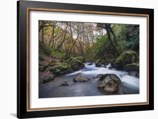 Stream Flowing Through Woodland in England-Clive Nolan-Framed Photographic Print