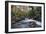 Stream Flowing Through Woodland in England-Clive Nolan-Framed Photographic Print