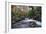 Stream Flowing Through Woodland in England-Clive Nolan-Framed Photographic Print