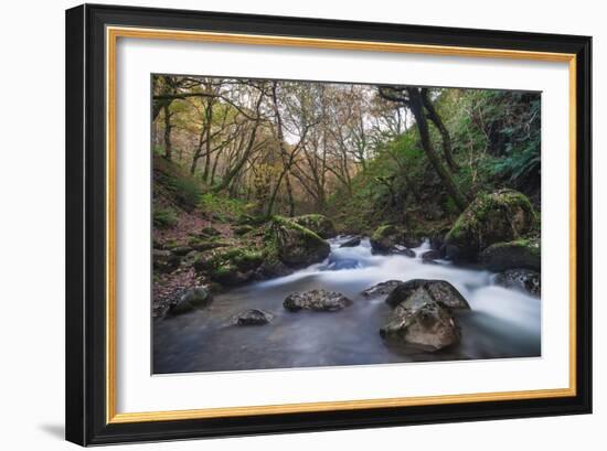 Stream Flowing Through Woodland in England-Clive Nolan-Framed Photographic Print