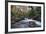 Stream Flowing Through Woodland in England-Clive Nolan-Framed Photographic Print