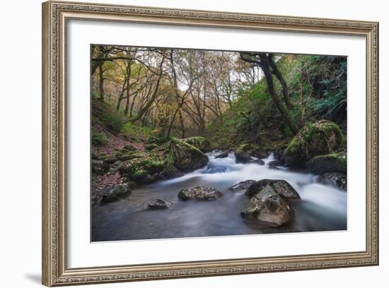 Stream Flowing Through Woodland in England-Clive Nolan-Framed Photographic Print