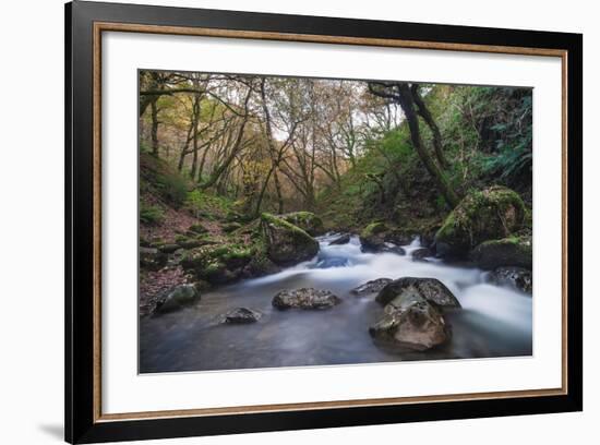 Stream Flowing Through Woodland in England-Clive Nolan-Framed Photographic Print