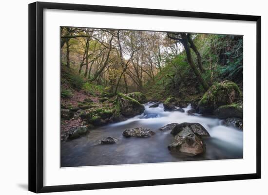 Stream Flowing Through Woodland in England-Clive Nolan-Framed Photographic Print