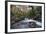 Stream Flowing Through Woodland in England-Clive Nolan-Framed Photographic Print