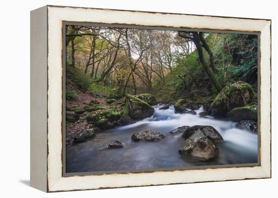 Stream Flowing Through Woodland in England-Clive Nolan-Framed Premier Image Canvas