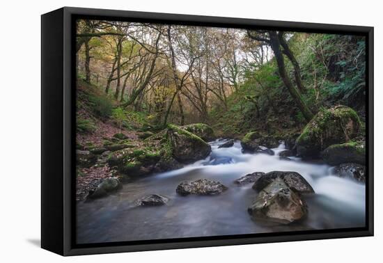 Stream Flowing Through Woodland in England-Clive Nolan-Framed Premier Image Canvas