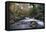 Stream Flowing Through Woodland in England-Clive Nolan-Framed Premier Image Canvas