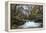 Stream Flowing Through Woodland in England-Clive Nolan-Framed Premier Image Canvas