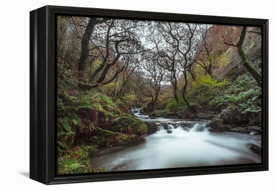 Stream Flowing Through Woodland in England-Clive Nolan-Framed Premier Image Canvas