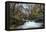 Stream Flowing Through Woodland in England-Clive Nolan-Framed Premier Image Canvas