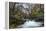 Stream Flowing Through Woodland in England-Clive Nolan-Framed Premier Image Canvas