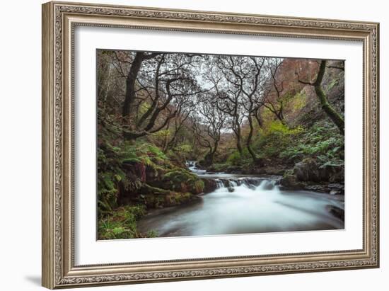 Stream Flowing Through Woodland in England-Clive Nolan-Framed Photographic Print