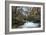 Stream Flowing Through Woodland in England-Clive Nolan-Framed Photographic Print