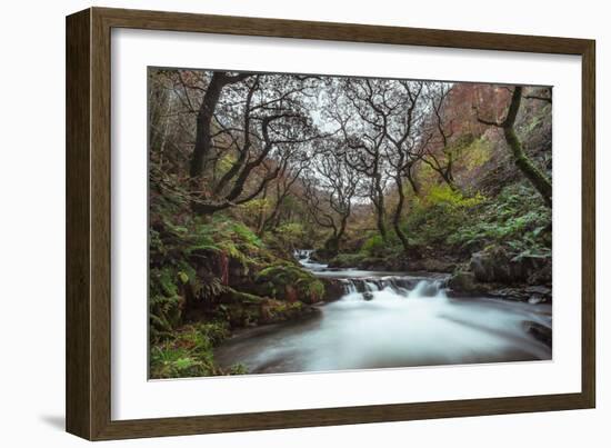 Stream Flowing Through Woodland in England-Clive Nolan-Framed Photographic Print