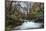 Stream Flowing Through Woodland in England-Clive Nolan-Mounted Photographic Print