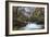 Stream Flowing Through Woodland in England-Clive Nolan-Framed Photographic Print