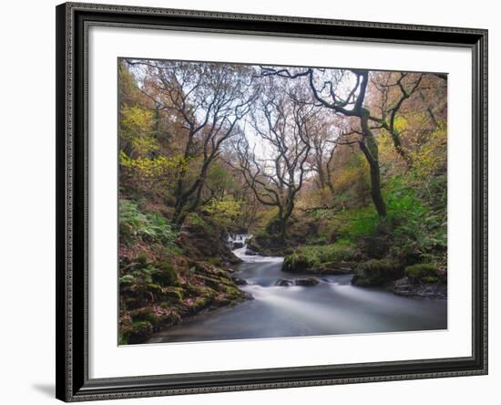 Stream Flowing Through Woodland in England-Clive Nolan-Framed Photographic Print