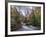 Stream Flowing Through Woodland in England-Clive Nolan-Framed Photographic Print