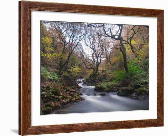 Stream Flowing Through Woodland in England-Clive Nolan-Framed Photographic Print