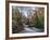 Stream Flowing Through Woodland in England-Clive Nolan-Framed Photographic Print