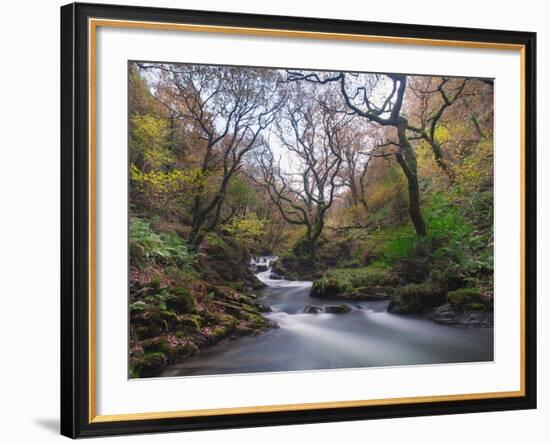 Stream Flowing Through Woodland in England-Clive Nolan-Framed Photographic Print