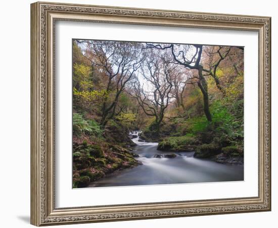 Stream Flowing Through Woodland in England-Clive Nolan-Framed Photographic Print