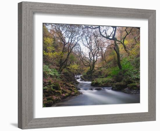 Stream Flowing Through Woodland in England-Clive Nolan-Framed Photographic Print