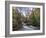 Stream Flowing Through Woodland in England-Clive Nolan-Framed Photographic Print