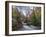 Stream Flowing Through Woodland in England-Clive Nolan-Framed Photographic Print