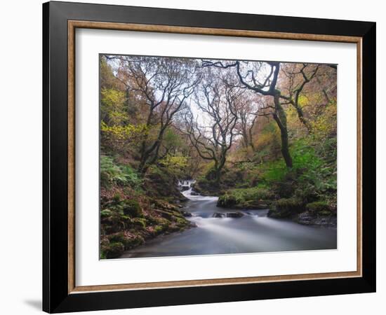 Stream Flowing Through Woodland in England-Clive Nolan-Framed Photographic Print