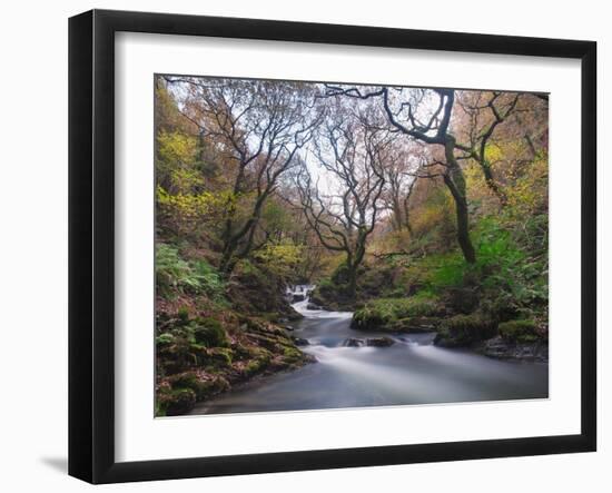 Stream Flowing Through Woodland in England-Clive Nolan-Framed Photographic Print