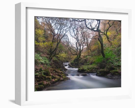 Stream Flowing Through Woodland in England-Clive Nolan-Framed Photographic Print