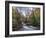 Stream Flowing Through Woodland in England-Clive Nolan-Framed Photographic Print