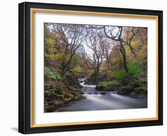 Stream Flowing Through Woodland in England-Clive Nolan-Framed Photographic Print