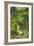 Stream in a Wood, 1883-Walter Frederick Osborne-Framed Giclee Print