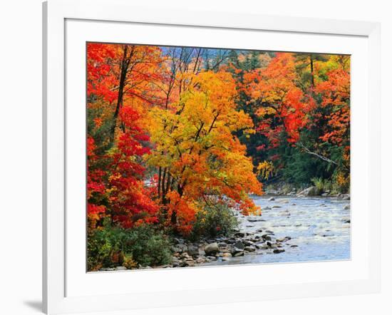 Stream in Autumn Woods--Framed Art Print