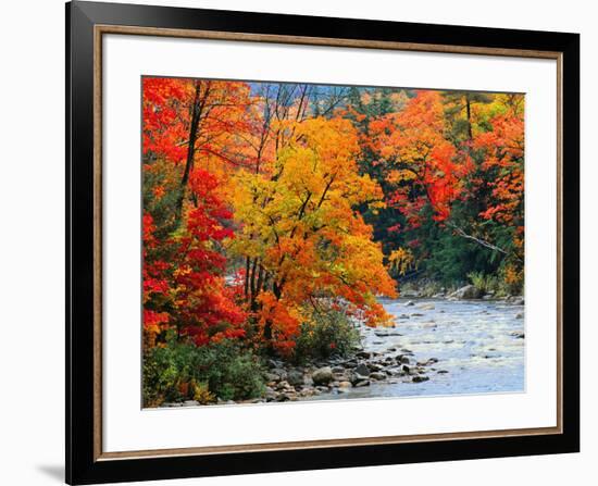 Stream in Autumn Woods-null-Framed Art Print