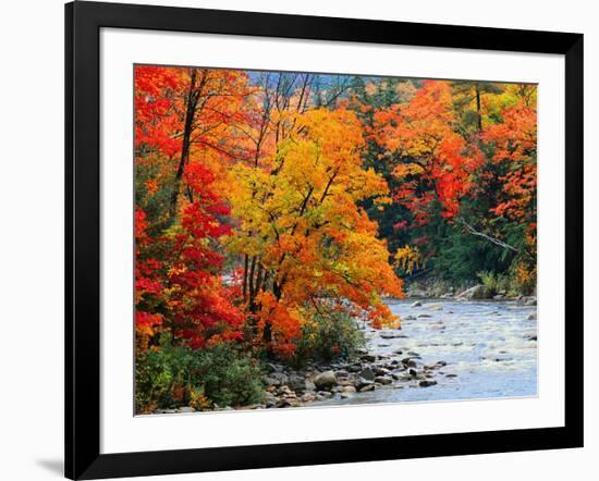 Stream in Autumn Woods--Framed Art Print