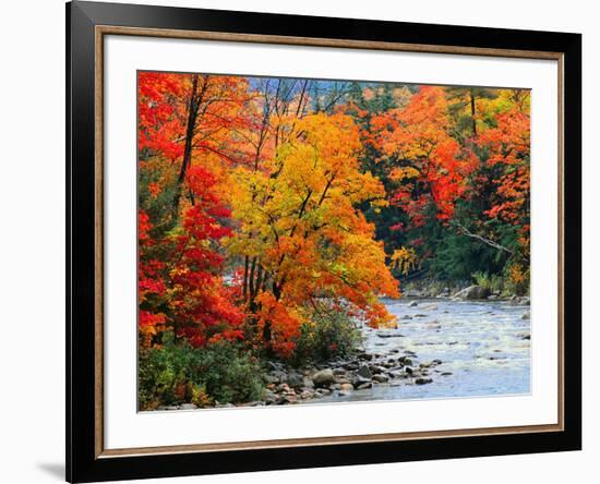 Stream in Autumn Woods-null-Framed Art Print