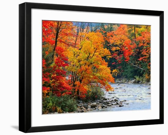 Stream in Autumn Woods-null-Framed Art Print