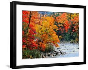 Stream in Autumn Woods-null-Framed Art Print