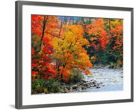 Stream in Autumn Woods-null-Framed Art Print
