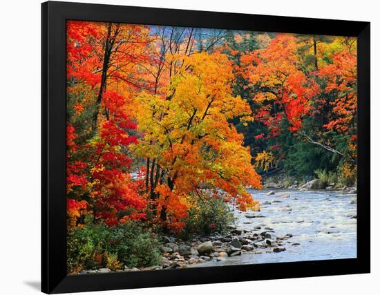 Stream in Autumn Woods--Framed Art Print