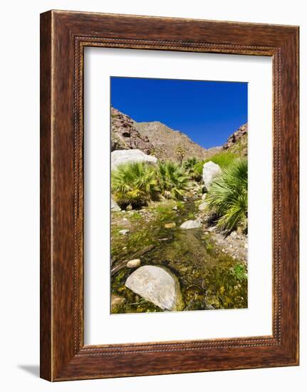 Stream in Borrego Palm Canyon, Anza-Borrego Desert State Park, California, USA-Russ Bishop-Framed Photographic Print