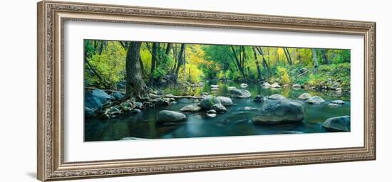 Stream in Cottonwood Canyon, Sedona, Arizona-null-Framed Photographic Print